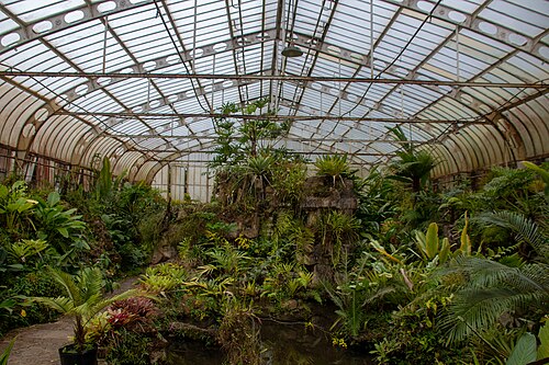 Orchideenhaus, Institut für Botanik, São Paulo — Orchideenhaus, Institut für Botanik — Ansicht 4