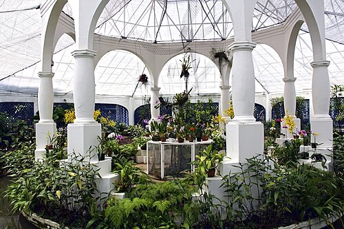 リオデジャネイロ植物園のオルキダリオ(ラン温室), リオデジャネイロ — Orquidário Jardim Botânico