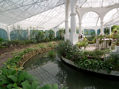リオデジャネイロ植物園のオルキダリオ(ラン温室), リオデジャネイロ — Interior of the Orchid House in the Botanical Garden of Rio de Janeiro, Brazil