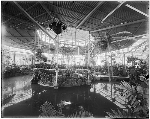 リオデジャネイロ植物園のオルキダリオ(ラン温室), リオデジャネイロ — photo 6