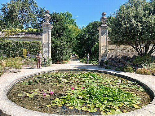 Serres du jardin botanique d'Oxford (Oxford Botanic Garden), Oxford, Oxfordshire — Oxford Botanic Garden pond