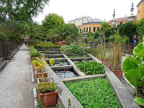 Serres du XIXe siècle de l'Orto Botanico de Padoue (Serre ottocentesche), Padoue, Vénétie — Padua , Veneto, Italy. Botanical garden .