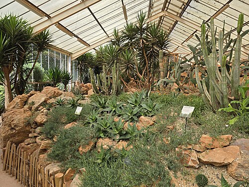 パイントン動物園の温室（トロピックスとデザーツ）, パイントン動物園、トットネス・ロード、パイントン（トーベイ、デヴォン州） — Arid Lands and Tropical House, Paignton Zoo, taken 24 August 2024