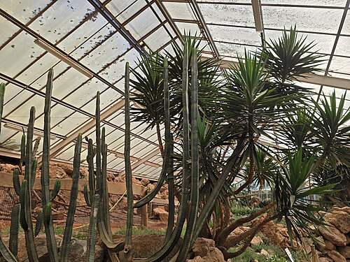 パイントン動物園の温室（トロピックスとデザーツ）, パイントン動物園、トットネス・ロード、パイントン（トーベイ、デヴォン州） — パイントン動物園の温室（トロピックスとデザーツ） — 2枚目