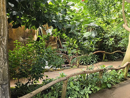 パイントン動物園の温室（トロピックスとデザーツ）, パイントン動物園、トットネス・ロード、パイントン（トーベイ、デヴォン州） — パイントン動物園の温室（トロピックスとデザーツ） — 3枚目