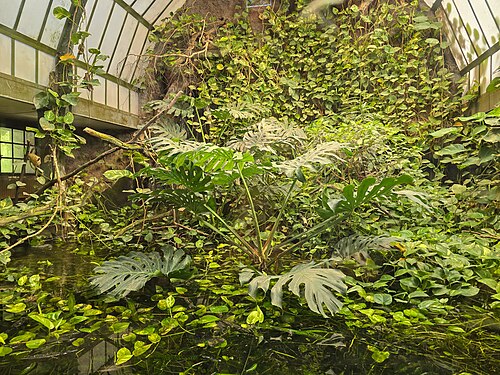 ブダペスト動物園のパールマハーズ（パームハウス）, ブダペスト — A budapesti állatkert részlete