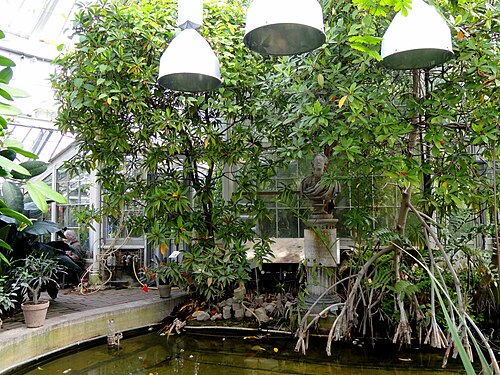 Palmehuset, Botanischer Garten der Universität Kopenhagen — Palm House, University of Copenhagen Botanical Garden, Copenhagen, Denmark.