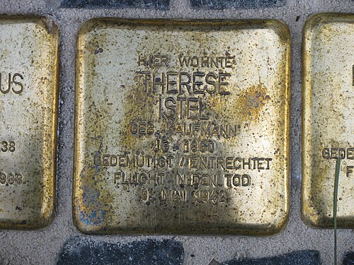 Palmengarten, Frankfurt am Main — der Stolperstein für Therese Istel vor dem Haus Palmengartenstraße 8 in Frankfurt am Main
