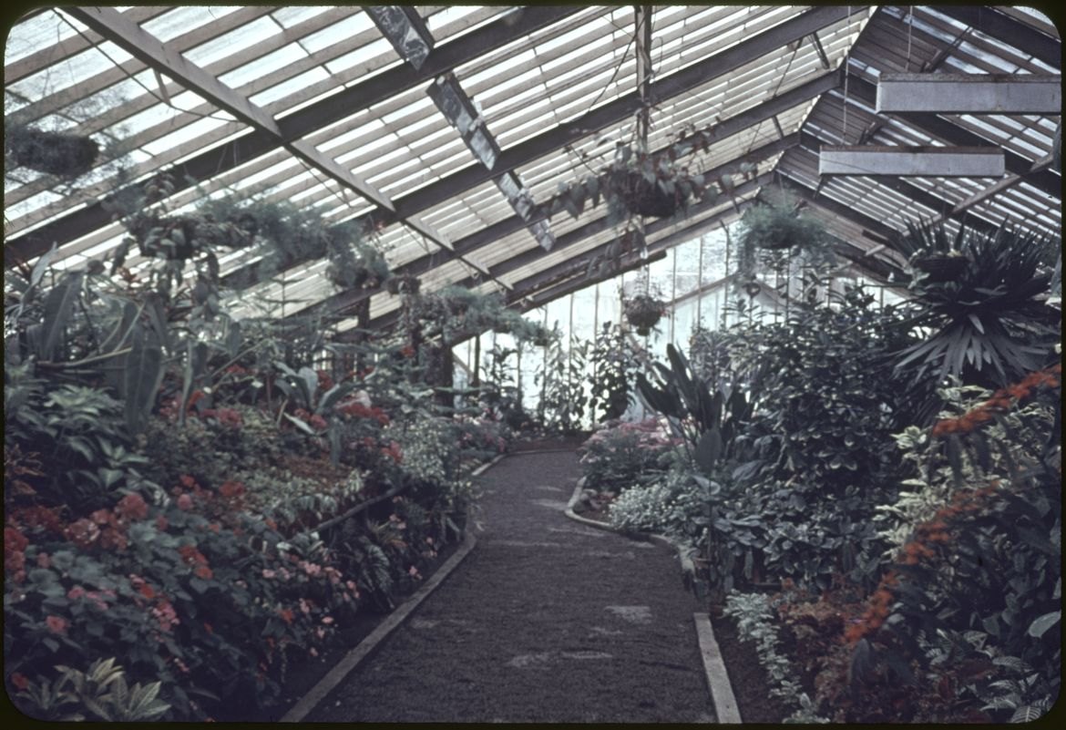 Peter Black Conservatory (Victoria Esplanade), Palmerston North, Manawatū-Whanganui — photo 3