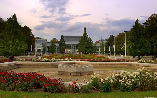 Palmiarnia Poznańska, Poznań — Palmiarnia w Poznaniu
