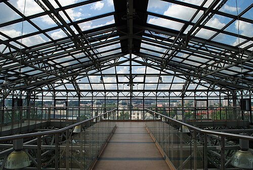 Palmenhaus Zielona Góra, Zielona Góra — Zielona Góra. Palmiarnia