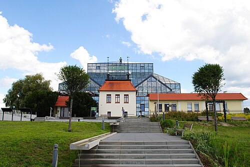 Palmenhaus Zielona Góra, Zielona Góra — Palmenhaus Zielona Góra — Ansicht 4