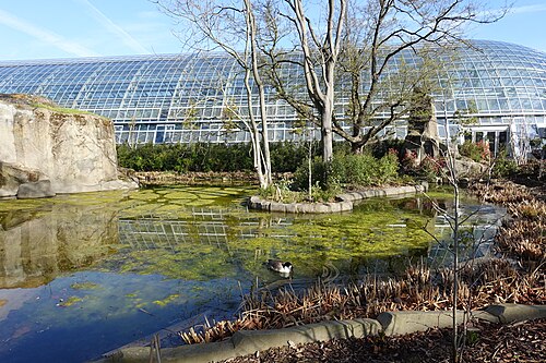 Grande Serre des Parc zoologique de Paris (Zoo von Vincennes), Paris, 12. Arrondissement, Île-de-France — Parc Zoologique de Paris (Zoo) @ Paris