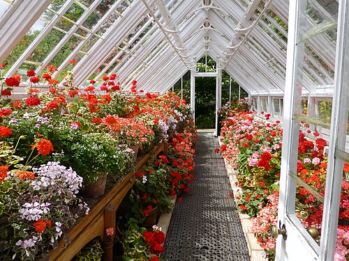 Serres du Flower Garden et du Melon Yard (Lost Gardens of Heligan), Pentewan, près de St Austell (Cornouailles) — Gewächshaus in den Lost Gardens of Heligan