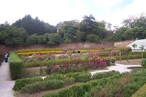 Serres du Flower Garden et du Melon Yard (Lost Gardens of Heligan), Pentewan, près de St Austell (Cornouailles) — The Flower Garden at the Lost Gardens of Heligan. For more information see the Wikipedia…