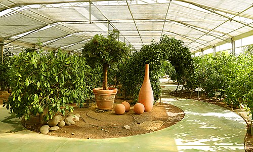 Hesperidarium, Giardino degli Agrumi (Oscar Tintori), Castellare di Pescia, Toskana — Hesperidarium, Giardino degli Agrumi — Ansicht 3