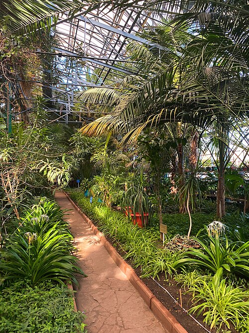 北部植物園のウィンターガーデンとオランジェリー(Severny Botanichesky Sad), 北カザフスタン州ペトロパヴル — 北部植物園のウィンターガーデンとオランジェリー(Severny Botanichesky Sad) — 1枚目