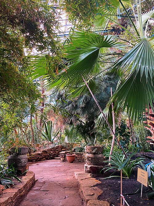 北部植物園のウィンターガーデンとオランジェリー(Severny Botanichesky Sad), 北カザフスタン州ペトロパヴル — 北部植物園のウィンターガーデンとオランジェリー(Severny Botanichesky Sad) — 4枚目