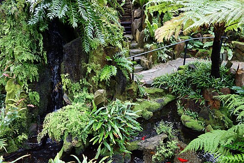 ドランス・H・ハミルトン・シダ温室（モリス樹木園）, フィラデルフィア、ペンシルベニア州 — ドランス・H・ハミルトン・シダ温室（モリス樹木園） — 4枚目