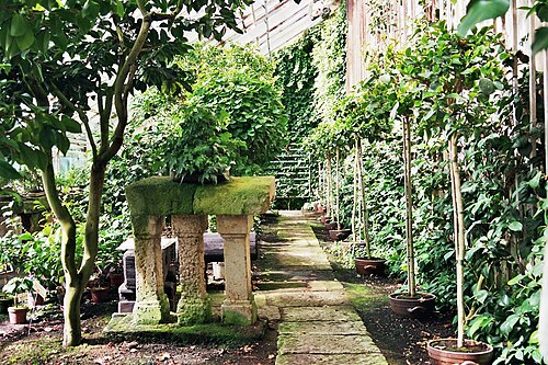 ツシェンドルフ城の温室群(Kamelienschloss), ザクセン州ピルナ(ツシェンドルフ) — This image shows the garden of Zuschendorf castle in Pirna in Saxony , Germany .