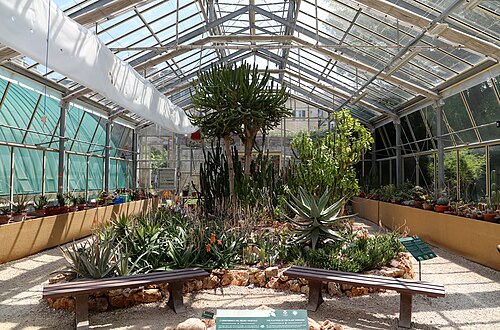 Gewächshäuser des Orto e Museo Botanico der Universität Pisa, Pisa, Toskana — Orto botanico di Pisa