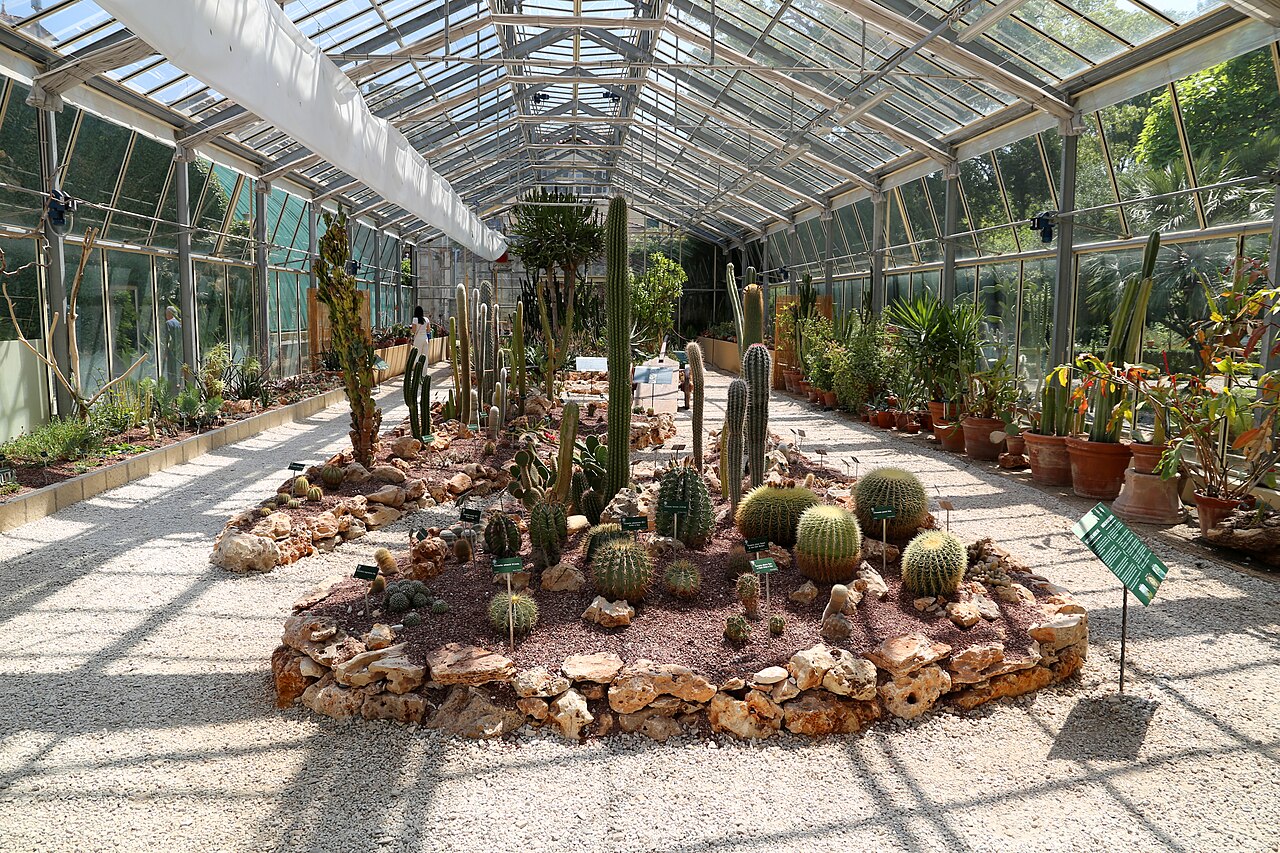Gewächshäuser des Orto e Museo Botanico der Universität Pisa, Pisa, Toskana — Gewächshäuser des Orto e Museo Botanico der Universität Pisa — Ansicht 5