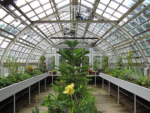フリック温室（ザ・フリック・ピッツバーグ、クレイトン邸）, ペンシルベニア州ピッツバーグ — Interior of the conservatory at Clayton, the Frick estate in the Point Breeze…