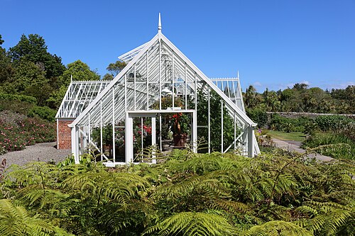 ローガン温室（ローガン植物園）, ダンフリース・アンド・ガロウェー、ポート・ローガン（スコットランド） — Conservatory, Logan Botanic Garden