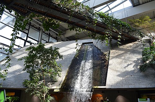 Biosphäre Potsdam, Potsdam, Brandenburg — Wasserfall in der Biosphäre in Potsdam, 2023