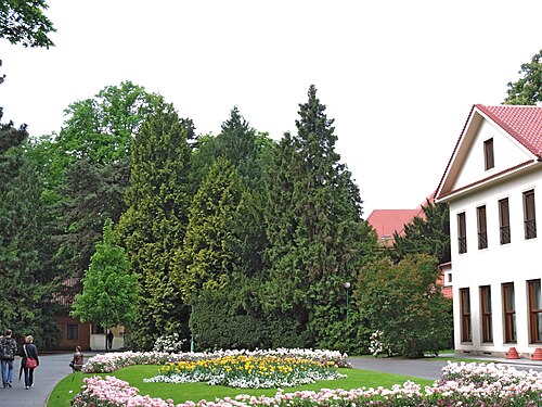 Nouvelle Orangerie du Jardin royal du Château de Prague (Nová oranžerie), Prague, Hradčany — Park pred bývalou prezidentskou vilou