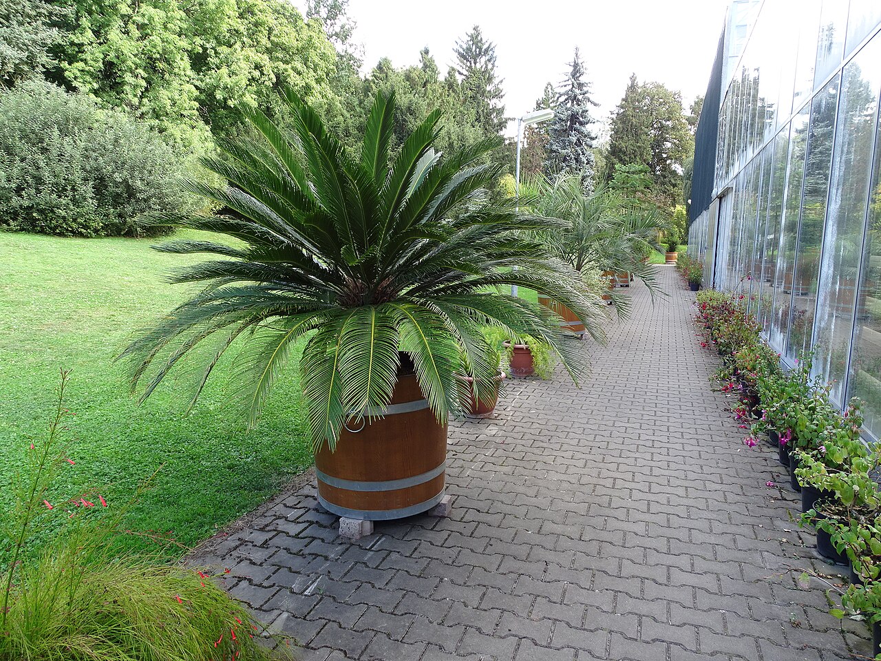 Tropische Gewächshäuser des Botanischen Gartens Malešice (SOŠ Jarov), Prag, Malešice — Tropische Gewächshäuser des Botanischen Gartens Malešice — Ansicht 3