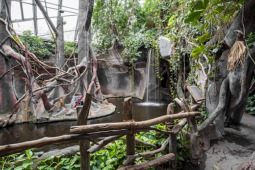 Pavillon Indonesischer Dschungel (Indonéská džungle), Zoo Prag, Prag, Troja — Indonesian jungle in Prague Zoo, The southern pig-tailed macaque exhibit
