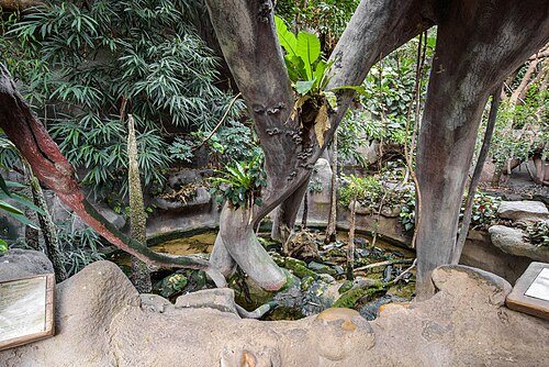 Pavillon Indonesischer Dschungel (Indonéská džungle), Zoo Prag, Prag, Troja — Indonesian jungle in Prague Zoo, The Atlantic mudskipper exhibit