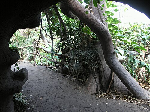 Pavillon Indonesischer Dschungel (Indonéská džungle), Zoo Prag, Prag, Troja — Pavillon Indonesischer Dschungel — Ansicht 5