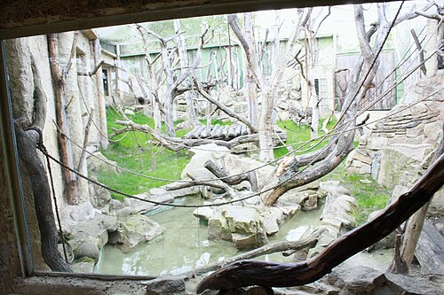 Pavillon Indonesischer Dschungel (Indonéská džungle), Zoo Prag, Prag, Troja — Pavillon Indonesischer Dschungel — Ansicht 6