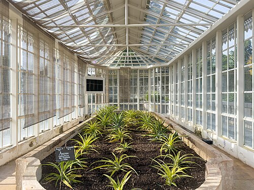 Gewächshäuser des Botanischen Gartens, Nationalpalast von Queluz (Jardim das Estufas), Queluz, Sintra — Greenhouse in the Botanical Garden, Palácio Nacional de Queluz