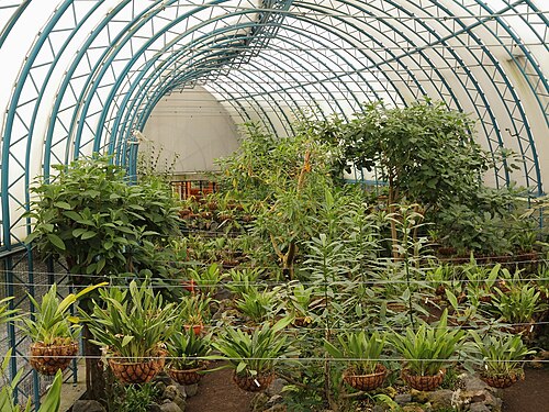 Orquideario du Jardin botanique de Quito, Quito, Pichincha — Quitos botaniska trädgård