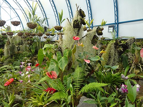 Orquideario du Jardin botanique de Quito, Quito, Pichincha — Jardín Botánico de Quito Photography by David Adam Kess
