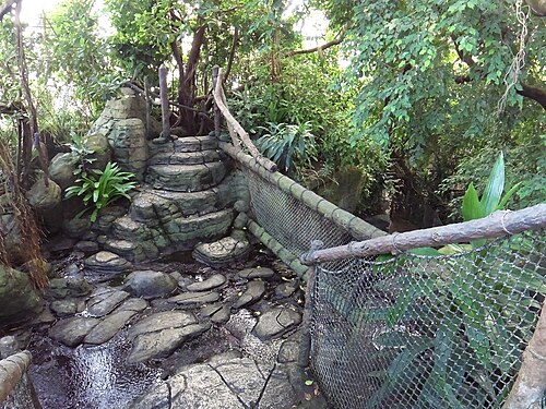 Randers Regnskov (Tropischer Zoo), Randers — Passage i Asienkuplen
