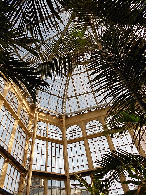 ハワード・ピーターズ・ローリングス温室, メリーランド州ボルチモア — Inside of the Conservatory in Druid Hill Park, Baltimore, Maryland