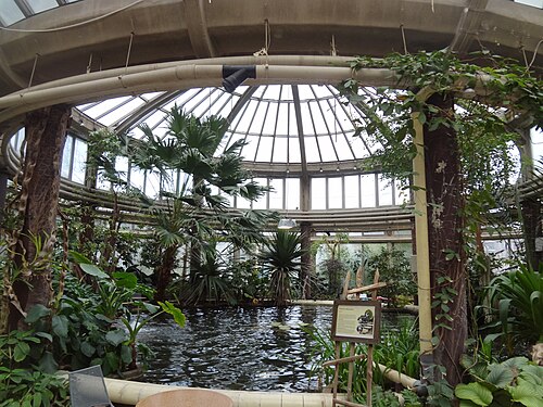 Rivièrahal und Victoriahaus des Diergaarde Blijdorp, Rotterdam, Südholland — Victoriaserre - Rivièrahal - Diergarde Blijdorp - Roterdam - interior - pond