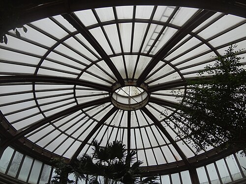 Rivièrahal und Victoriahaus des Diergaarde Blijdorp, Rotterdam, Südholland — Victoriaserre - Rivièrahal - Diergarde Blijdorp - Roterdam - interior - dome and drum