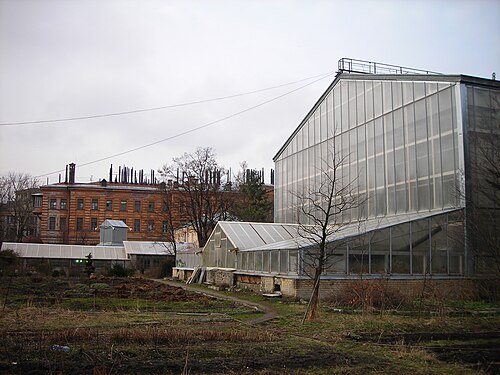 Orangerien des Botanischen Gartens der Staatlichen Universität Sankt Petersburg (Botanichesky Sad SPbGU), Sankt Petersburg, Wassiljewski-Insel — Botanical Garden (St.-Petersburg State University, Russia)