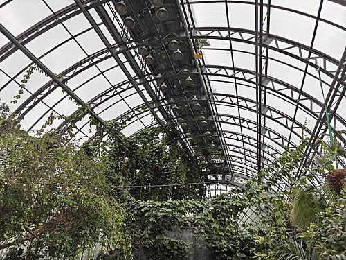 タヴリーダ庭園のヤシのオランジェリー（Flowers展示ホール）, サンクトペテルブルク — タヴリーダ庭園のヤシのオランジェリー（Flowers展示ホール） — 3枚目