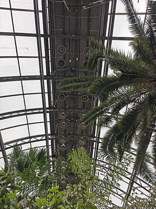 タヴリーダ庭園のヤシのオランジェリー（Flowers展示ホール）, サンクトペテルブルク — タヴリーダ庭園のヤシのオランジェリー（Flowers展示ホール） — 4枚目