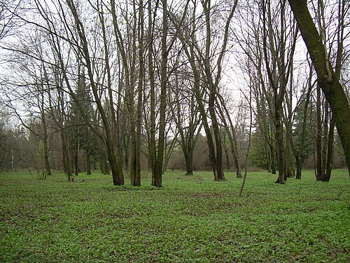 Orangery of the Samara University Botanical Garden (Botanichesky Sad), Samara, Samara Oblast — Ботанический сад