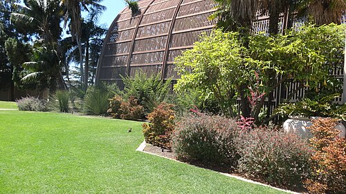 バルボア・パークのボタニカル・ビルディング（ラスハウス）, サンディエゴ、カリフォルニア州 — Botanical Building, no Balboa Park, San Diego