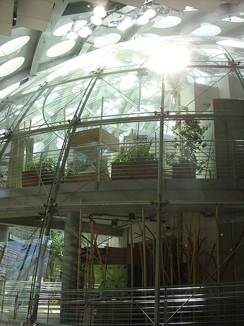 Osher Rainforest (California Academy of Sciences), San Francisco, Kalifornien — California Academy of Science - California Academia de Ciencia