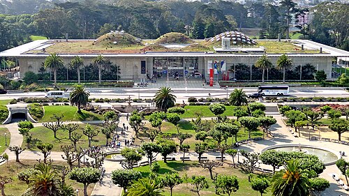Osher Rainforest (California Academy of Sciences), San Francisco, Californie — photo 2