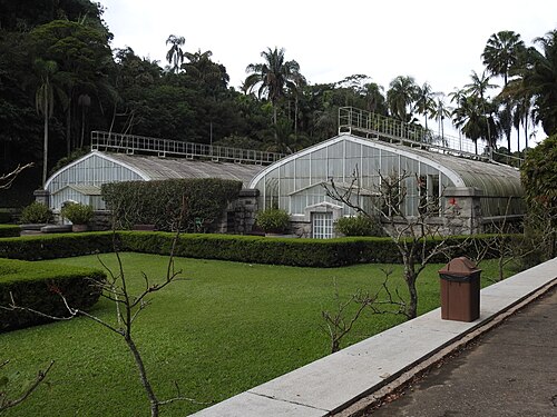 Gewächshäuser Dr. Frederico Carlos Hoehne (Botanischer Garten von São Paulo), São Paulo, Bundesstaat São Paulo — photo 2